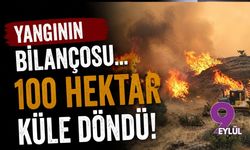 Aydın'da yangının bilançosu... 100 hekar küle döndü!