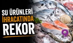 Denizden gelen rekor: Su ürünleri ihracatı ilk yarıda milyar dolar sınırını aştı