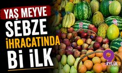 Yaş meyve sebze ihracatında bi ilk