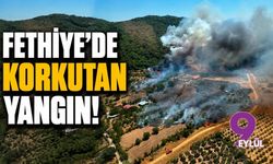 Muğla’nın Fethiye ilçesinde korkutan orman yangını: Alevler yerleşim yerlerinin dibine kadar ulaştı