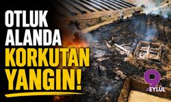 Otluk alanda korkutan yangın!