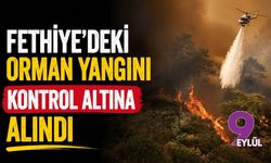 Fethiye'deki orman yangını kontrol altına alındı