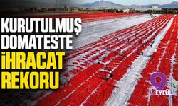 Kurutulmuş domateste ihracat rekoru