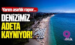 Yarım asırlık rapor... Denizimiz adeta kaynıyor!