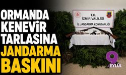Ormanlık alana uyuşturucu ekmişler!