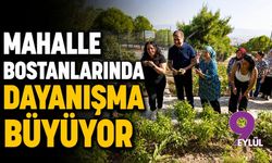 Mahalle bostanlarında dayanışma büyüyor