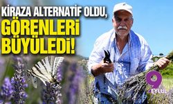 Kiraza alternatif oldu, görenleri büyüledi!
