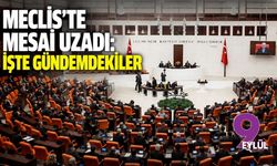 Meclis'te mesai uzadı: İşte gündemdekiler