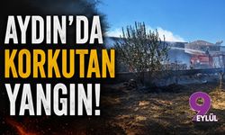 Aydın'da korkutan yangın!
