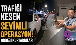 Trafiği kesen sevimli operasyon: Ördeği kurtardılar