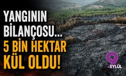 Muğla'da yangının bilançosu... 5 bin hektar kül oldu!
