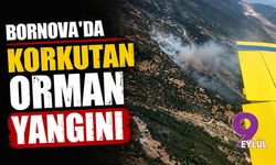 Bornova'da korkutan orman yangın