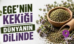 Ege'nin mobilya ve orman ürünleri ihracatında rekor