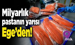 Milyarlık pastanın yarısı Ege'den
