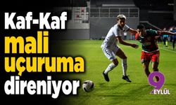 Kaf-Kaf mali uçuruma direniyor