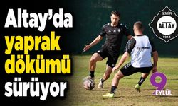 Altay'da yaprak dökümü sürüyor