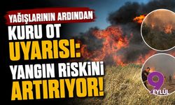 Yağışlarının ardından kuru ot uyarısı: Yangın riskini artırıyor!