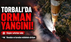 Torbalıda Orman Yangını!