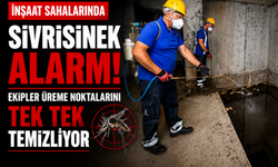 İnşaat sahalarında sivrisinek alarmı: Ekipler üreme noktalarını tek tek temizliyor