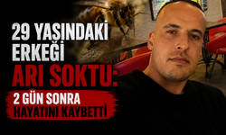 29 yaşındaki erkeği arı soktu: 2 gün sonra hayatını kaybetti