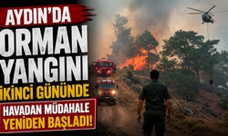 Aydın’da orman yangını ikinci gününde: Havadan müdahale yeniden başladı