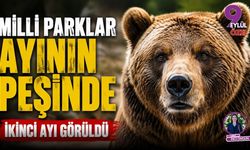 Milli Parklar Ayının Peşinde