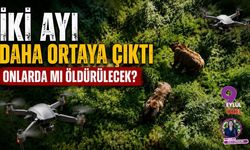 İki Ayı Daha Ortaya Çıktı Onlarda mı Öldürülecek?