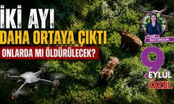 İki Ayı Daha Ortaya Çıktı Onlarda mı Öldürülecek?