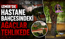 İzmir'de hastane bahçesindeki ağaçlar tehlikede