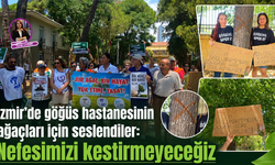İzmir’de göğüs hastanesinin ağaçları için seslendiler: Nefesimizi kestirmeyeceğiz