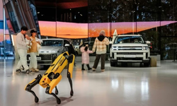 Hyundai, İnsansı Robotları Otomobil Bayilerinde Satmaya Hazırlanıyor