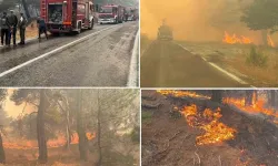 Balıkesir Erdek'te Orman Yangını