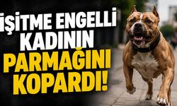 İşitme engelli kadının parmağını kopardı!