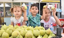 İzmir'de bardacık inciri festivali