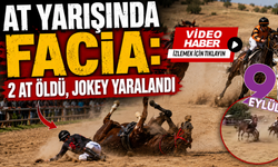 At yarışında facia: 2 at öldü, jokey yaralandı; O anlar kamerada