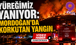 Yüreğimiz yanıyor: Mordoğan’da korkutan yangın