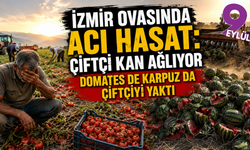 İzmirli üreticinin umudu tarlada kaldı: Domates ve karpuzda zarar büyüyor