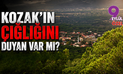 Kozak’ın çığlığını duyan var mı?