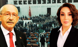 CHP’de çerçeve yasa istifası