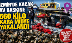 İzmir’de kaçak av baskını: 560 kilo kara midye yakalandı