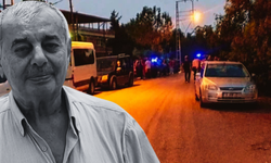 Ağaç kavgasında amcasını öldürdü