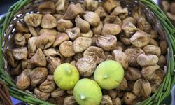 Sezonun ilk kuru inciri borsaya indi