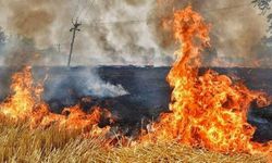 Torbalı’da anız alarmı