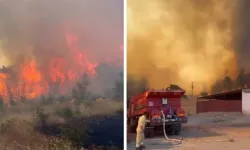 Çanakkale’de kahreden orman yangın