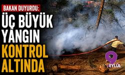 Bakan duyurdu: Üç büyük yangın kontrol altında