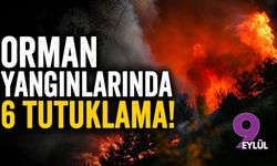 Orman yangınlarında 6 tutuklama!