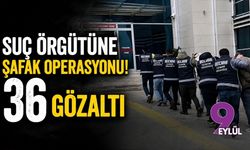 Suç örgütüne şafak operasyonu! 36 gözaltı