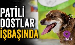Patili dostlar işbaşında