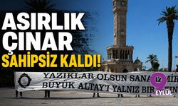 Asırlık çınar sahipsiz kaldı!
