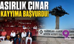 Asırlık çınar kayyıma başvurdu!